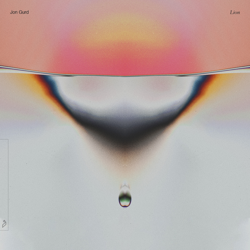 Lion van Jon Gurd